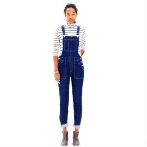 Madewell Skinny Overalls in Judd Wash Size M Style E4879